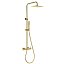 Conjunto barra de ducha monomando Firenze oro cepillado de Imex